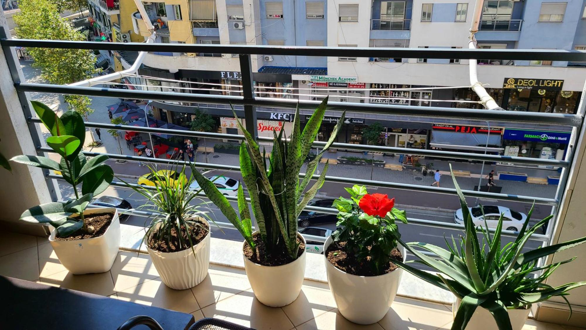 Marinela Appartement